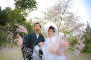 慎ちゃんはこういう白無垢で桜の撮りかたも楽しくて好き